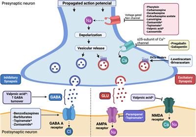 Epilepsy treatment in neuro-oncology: A rationale for drug choice in common clinical scenarios